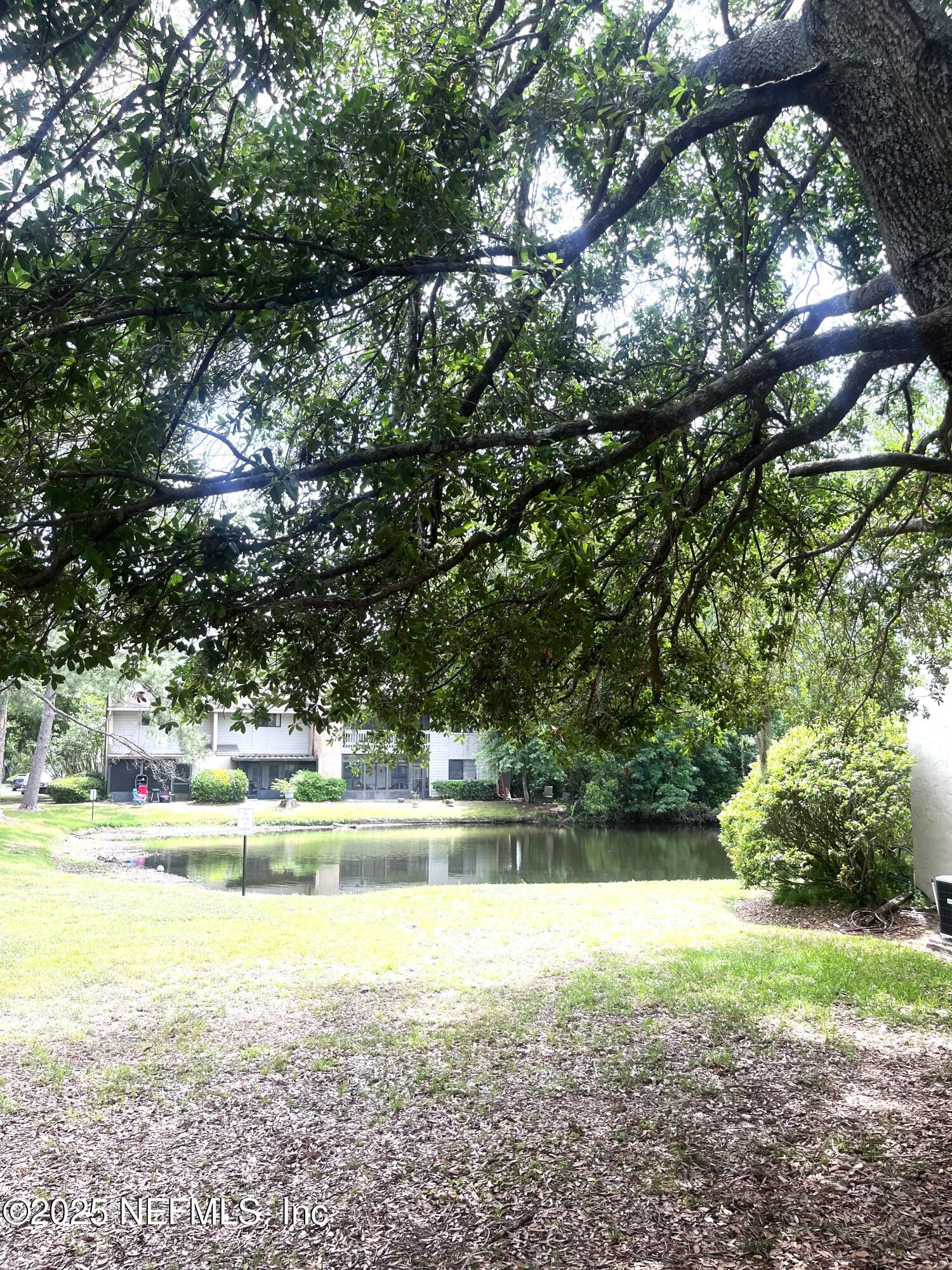 3801 Crown Point Road, Unit 3114 Jacksonville, FL 32257 - Photo 5 of 23 IMG_5936