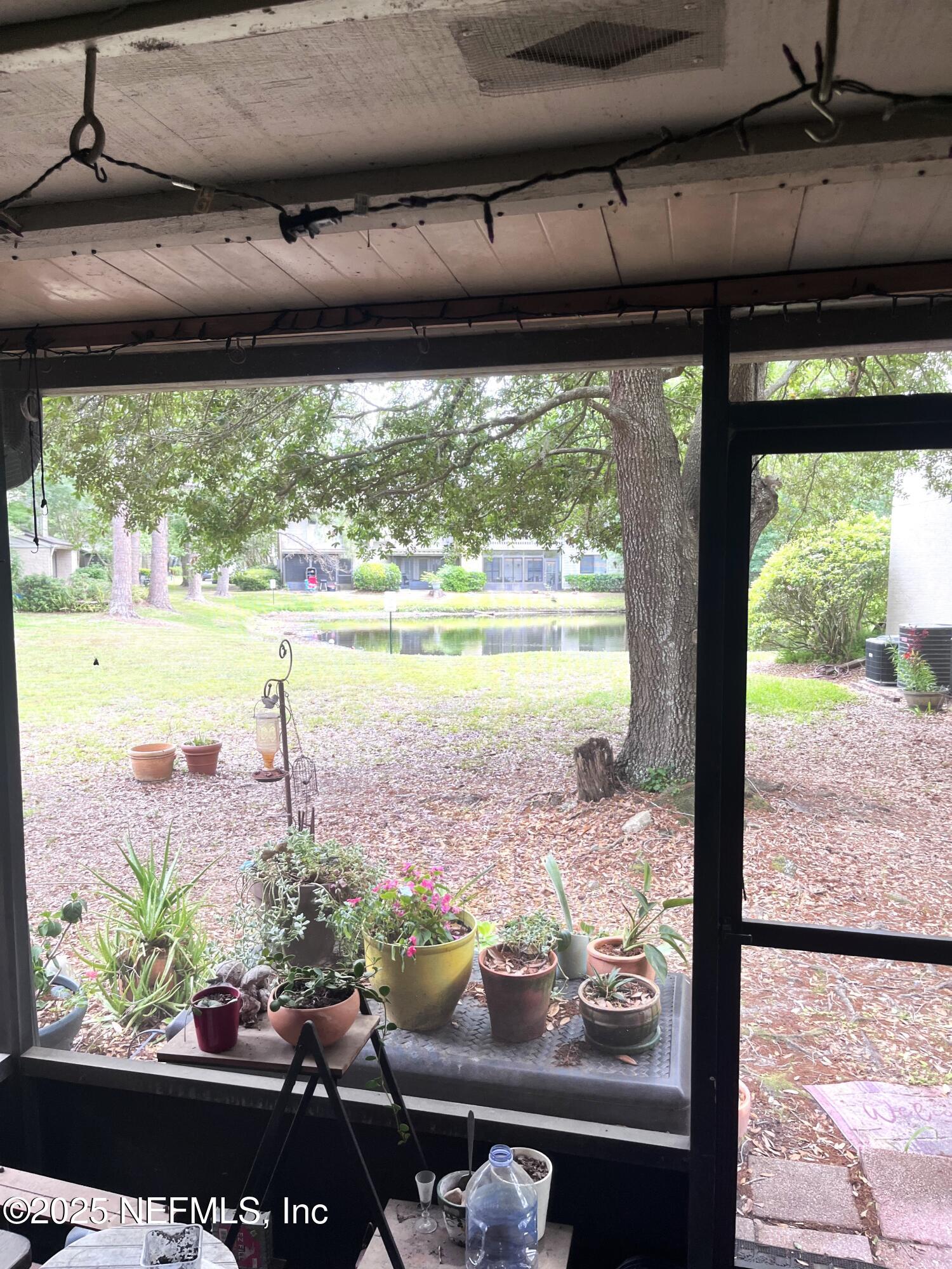 3801 Crown Point Road, Unit 3114 Jacksonville, FL 32257 - Photo 6 of 23 IMG_5912