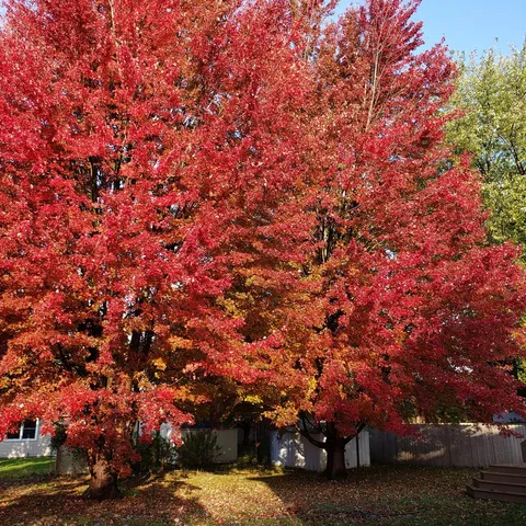 $249,900 | 23 Kenfield Circle, Bloomington, IL 61704