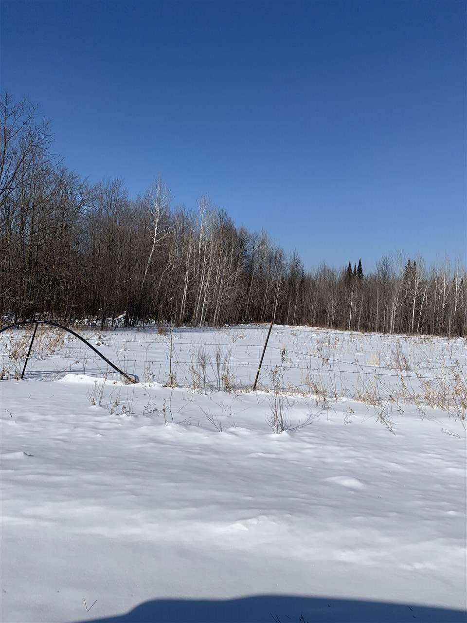 125510 Corn Road Halsey, WI 54411 - Photo 1 of 1