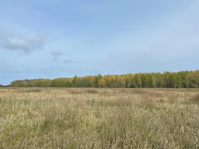 $225,000 | 15904 Shoreline Drive Northeast, Waskish, MN 56685