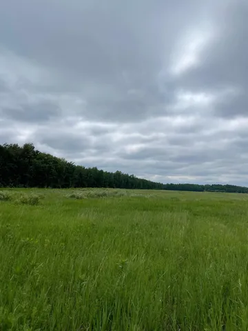 $225,000 | 15904 Shoreline Drive Northeast, Waskish, MN 56685