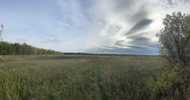 $225,000 | 15904 Shoreline Drive Northeast, Waskish, MN 56685