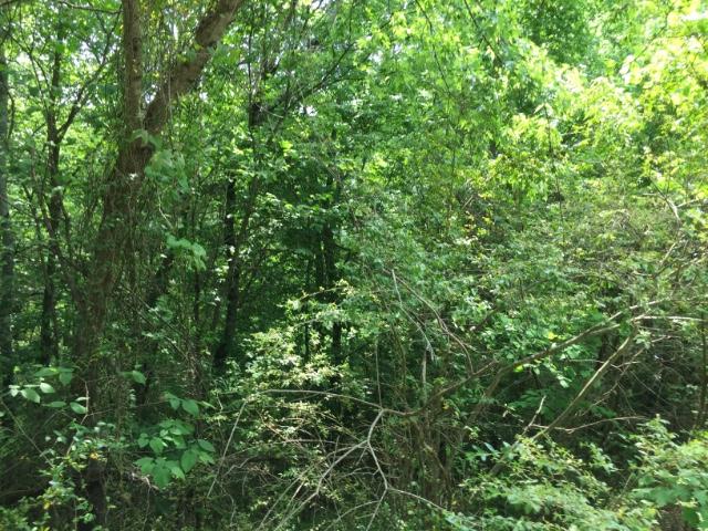 779 Goodfield Road Decatur, TN 37322 - Photo 1 of 3 01