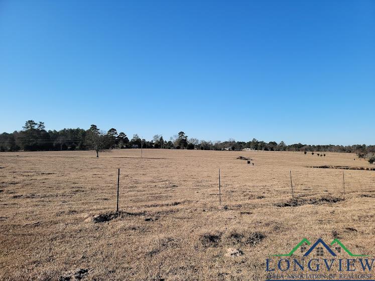 3372 Red Maple Road Big Sandy, TX 75755 - Photo 11 of 34 Gallery Image 11