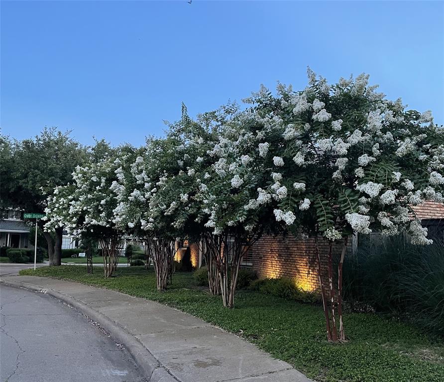 5723 Overdowns Drive Dallas, TX 75230 - Photo 33 of 36 not sure