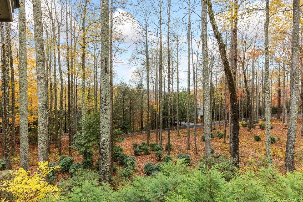 74 Hilltop Road Sapphire, NC 28774 - Photo 30 of 70 Gallery Image 30