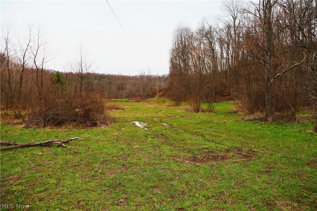 6030 Atkinson Creek Road Southeast Tippecanoe, OH 44699 - Photo 14 of 27