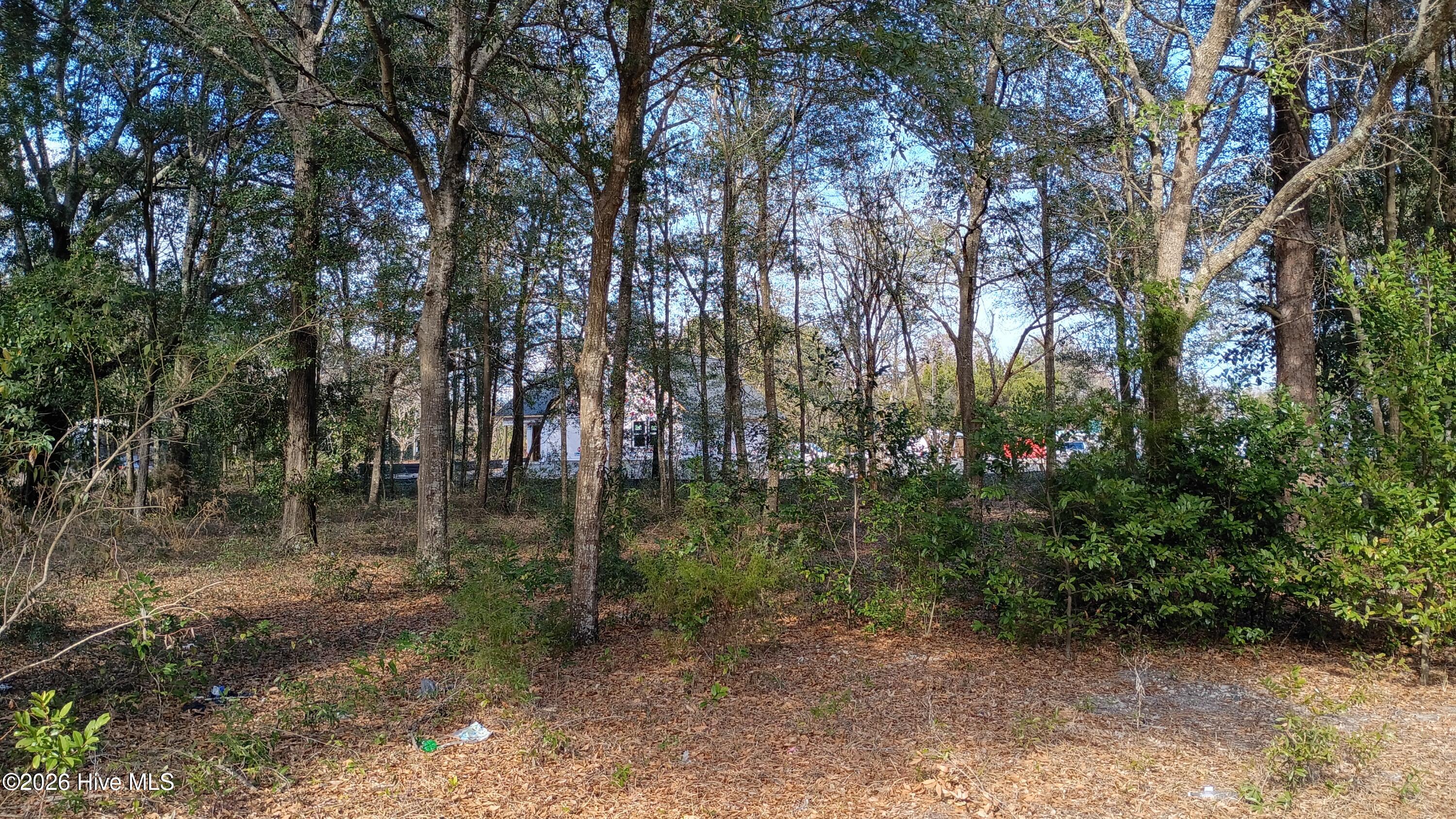 217 Clinton Street Wilmington, NC 28401 - Photo 2 of 5 2026-01-21 14.38.50