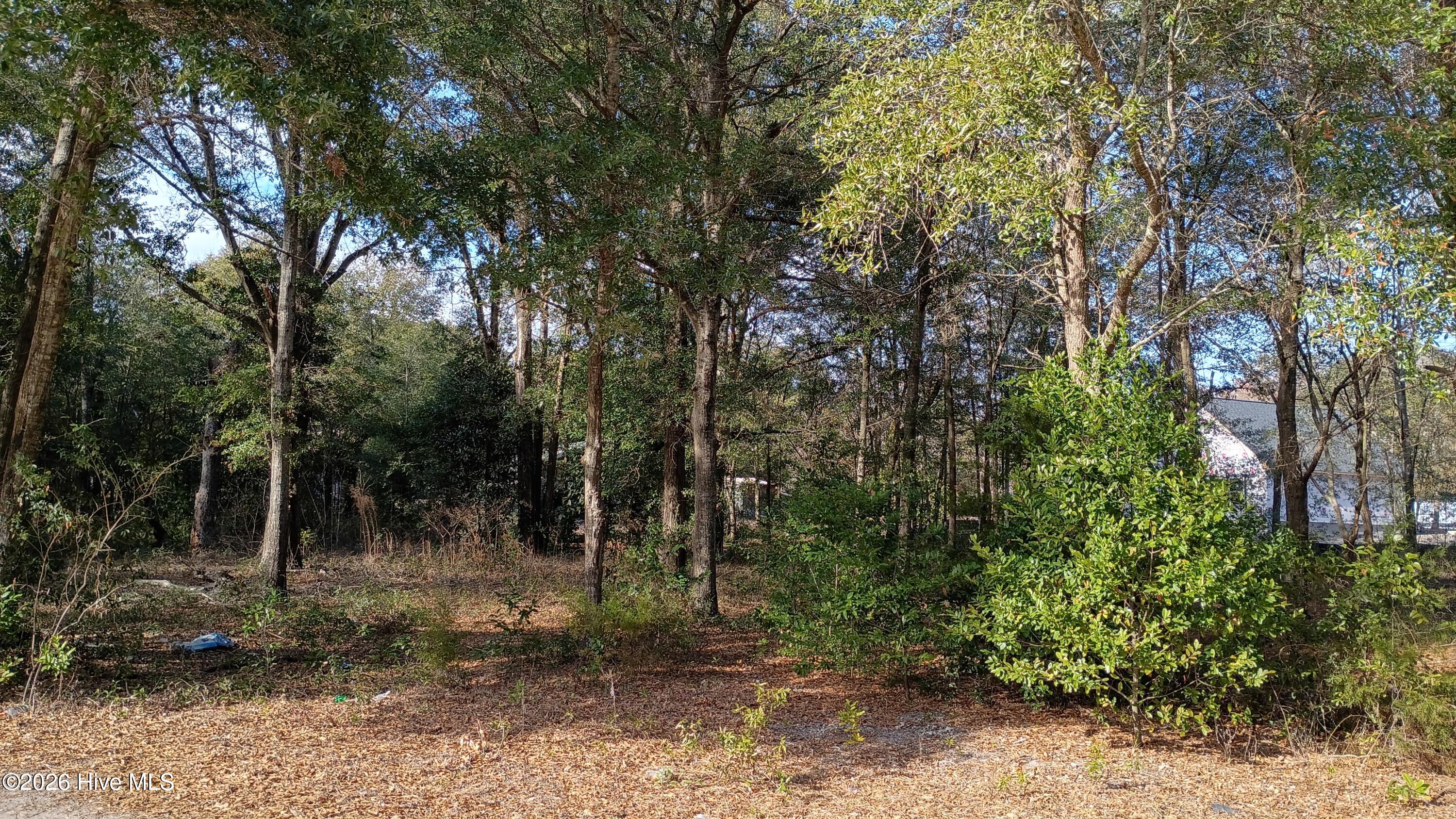 217 Clinton Street Wilmington, NC 28401 - Photo 4 of 5 2026-01-21 14.38.35