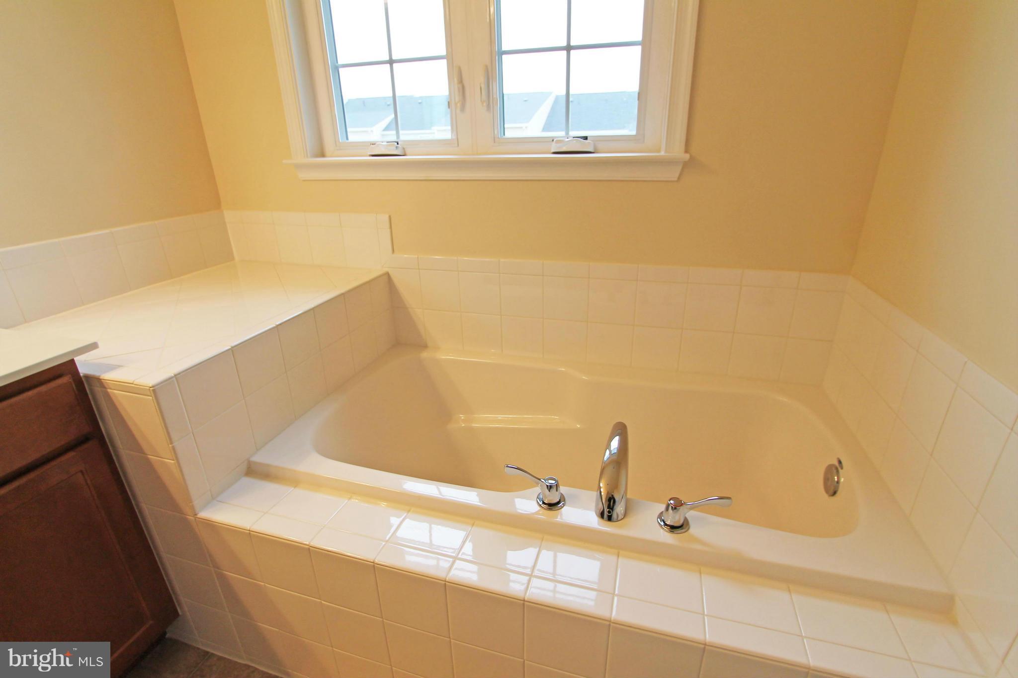 1134 Stallion Street Ranson, WV 25438 - Photo 18 of 30 Bath (Master)