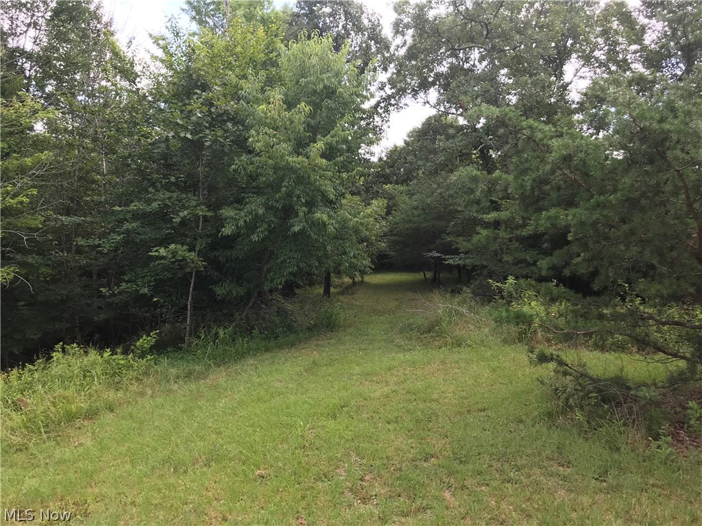 636 Veteran Road Ripley, WV 25271 - Photo 6 of 21