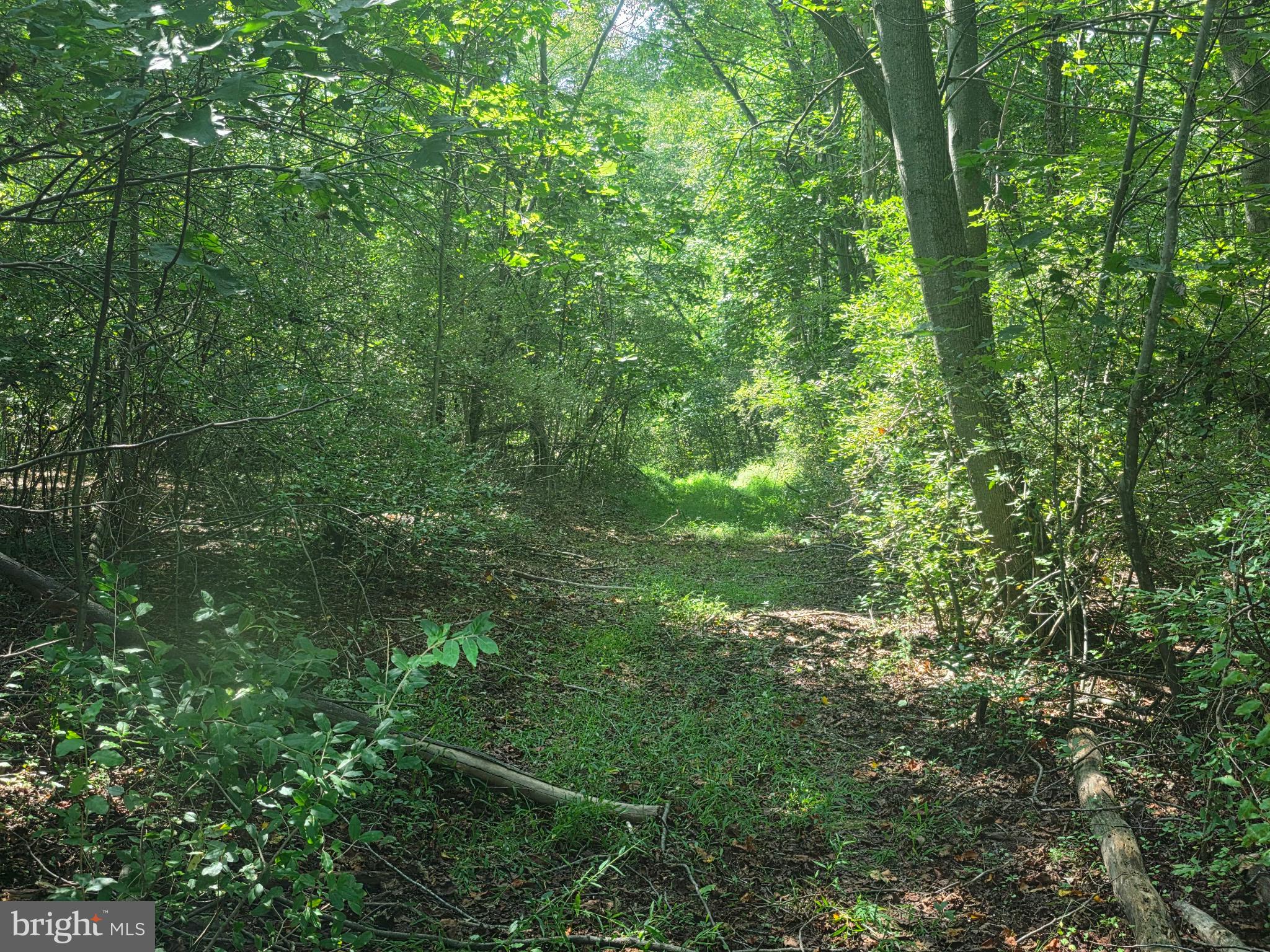 Terry's Road Berkeley Springs, WV 25411 - Photo 1 of 10 Gallery Image 1