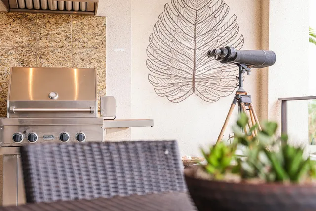 a view of a potted plants in a livingroom