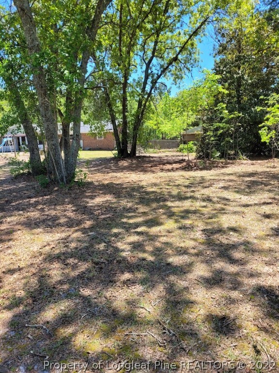 336 Anderson Road Linden, NC 28356 - Photo 3 of 29 Gallery Image 3