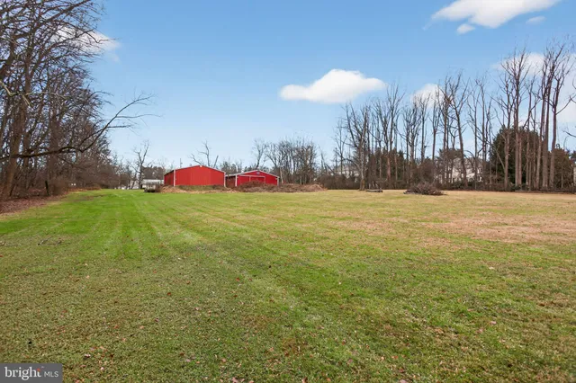 a big yard with large trees