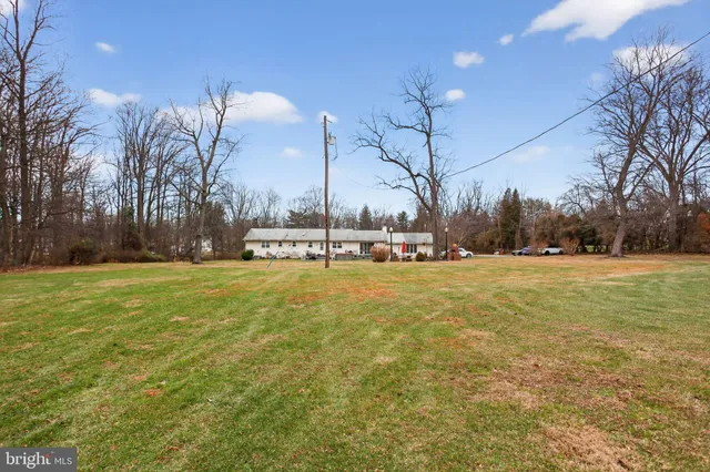 a view of large trees