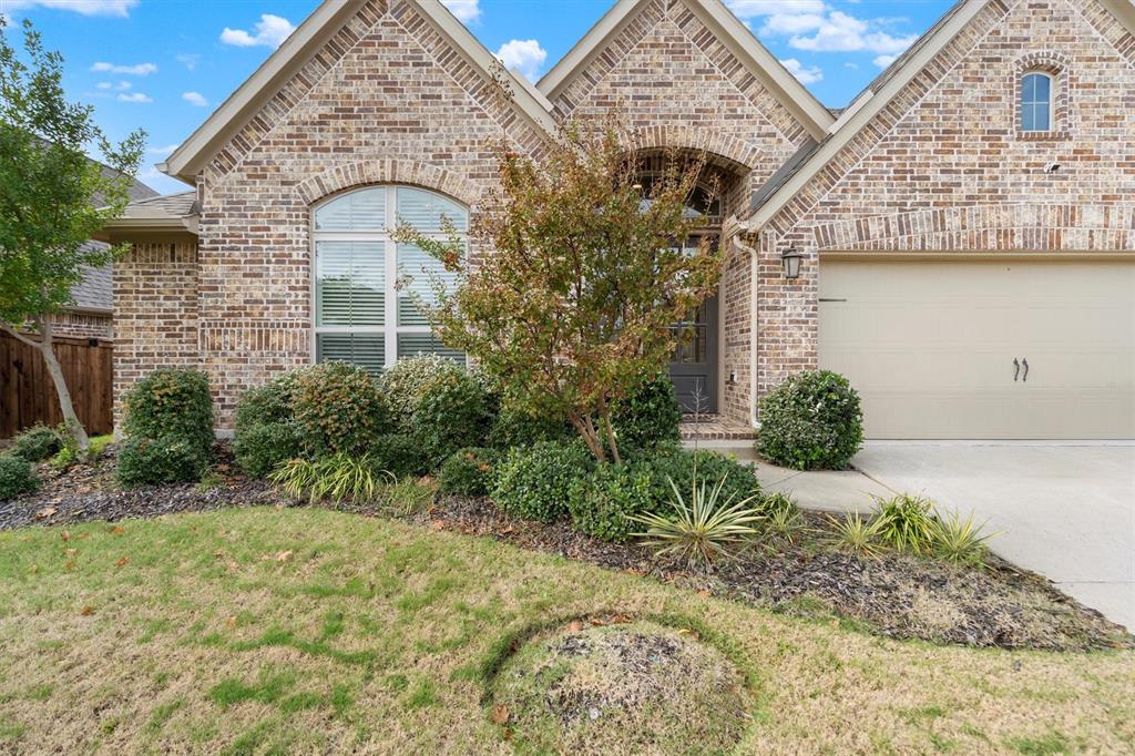 4017 Palomino Road Aubrey, TX 76227 - Photo 4 of 40