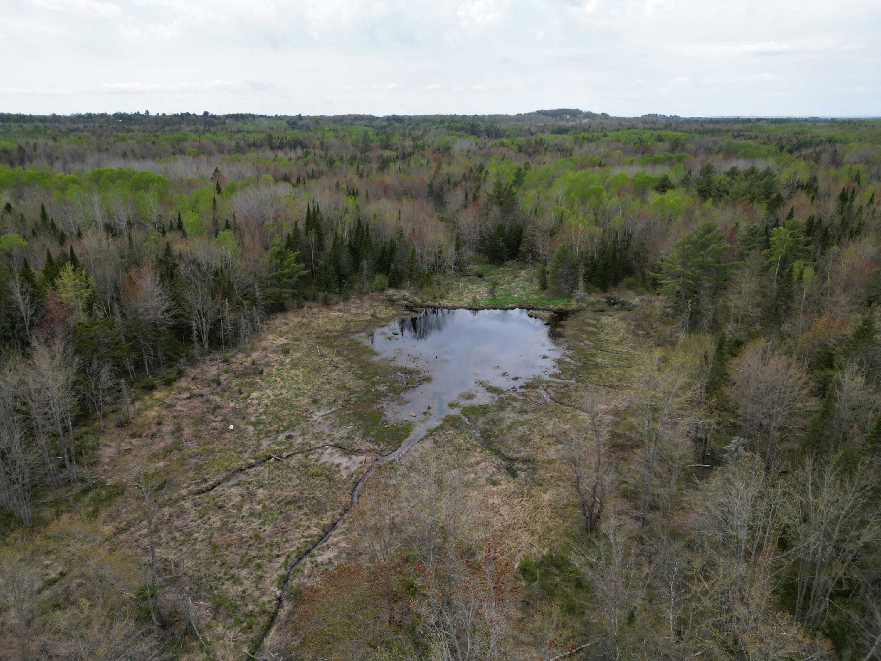 Tbd Argyle Road Old Town, ME 04468 - Photo 4 of 24 DJI_0100