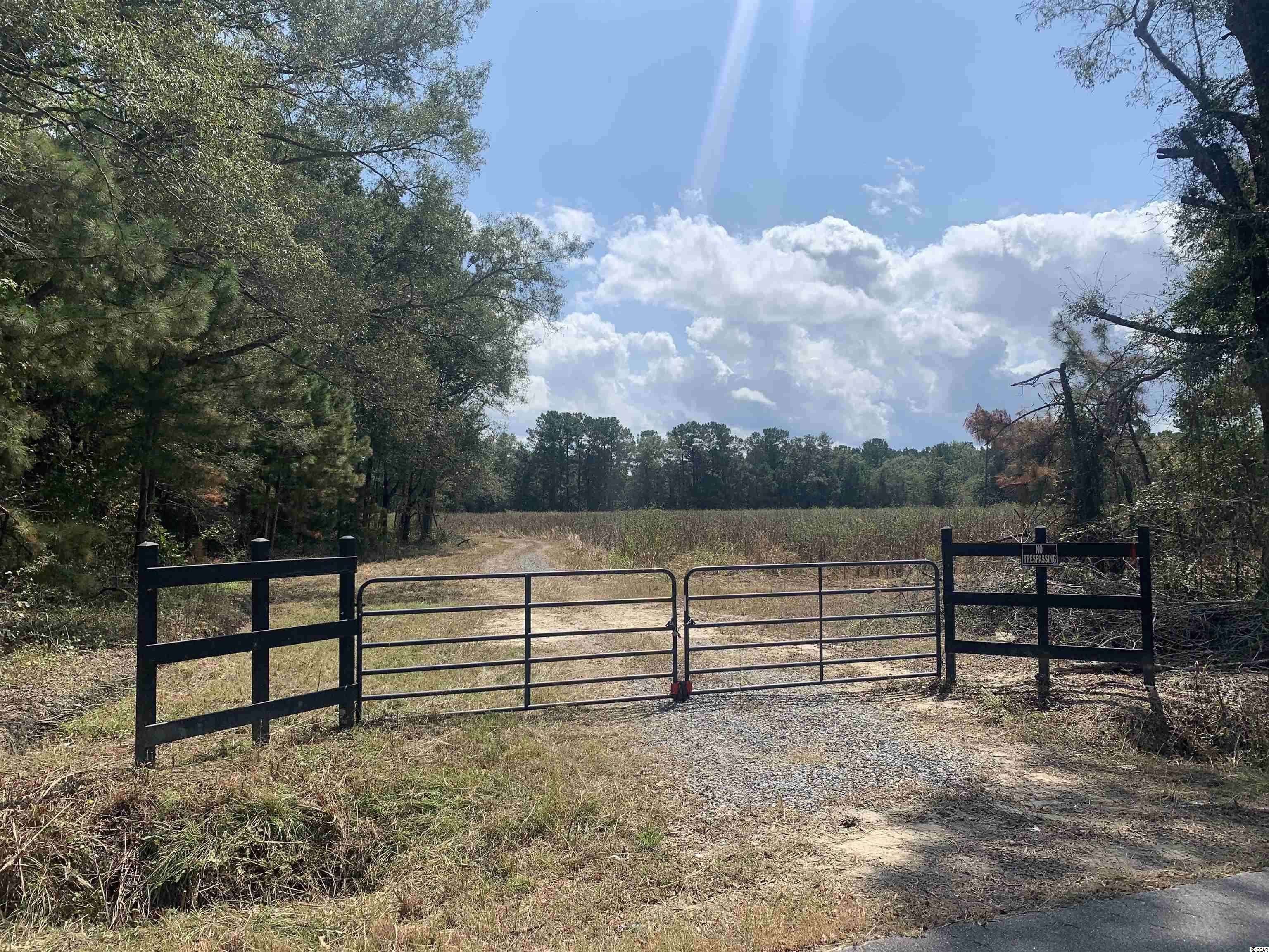 Tbt Blakely Road Salters, SC 29590 - Photo 1 of 17