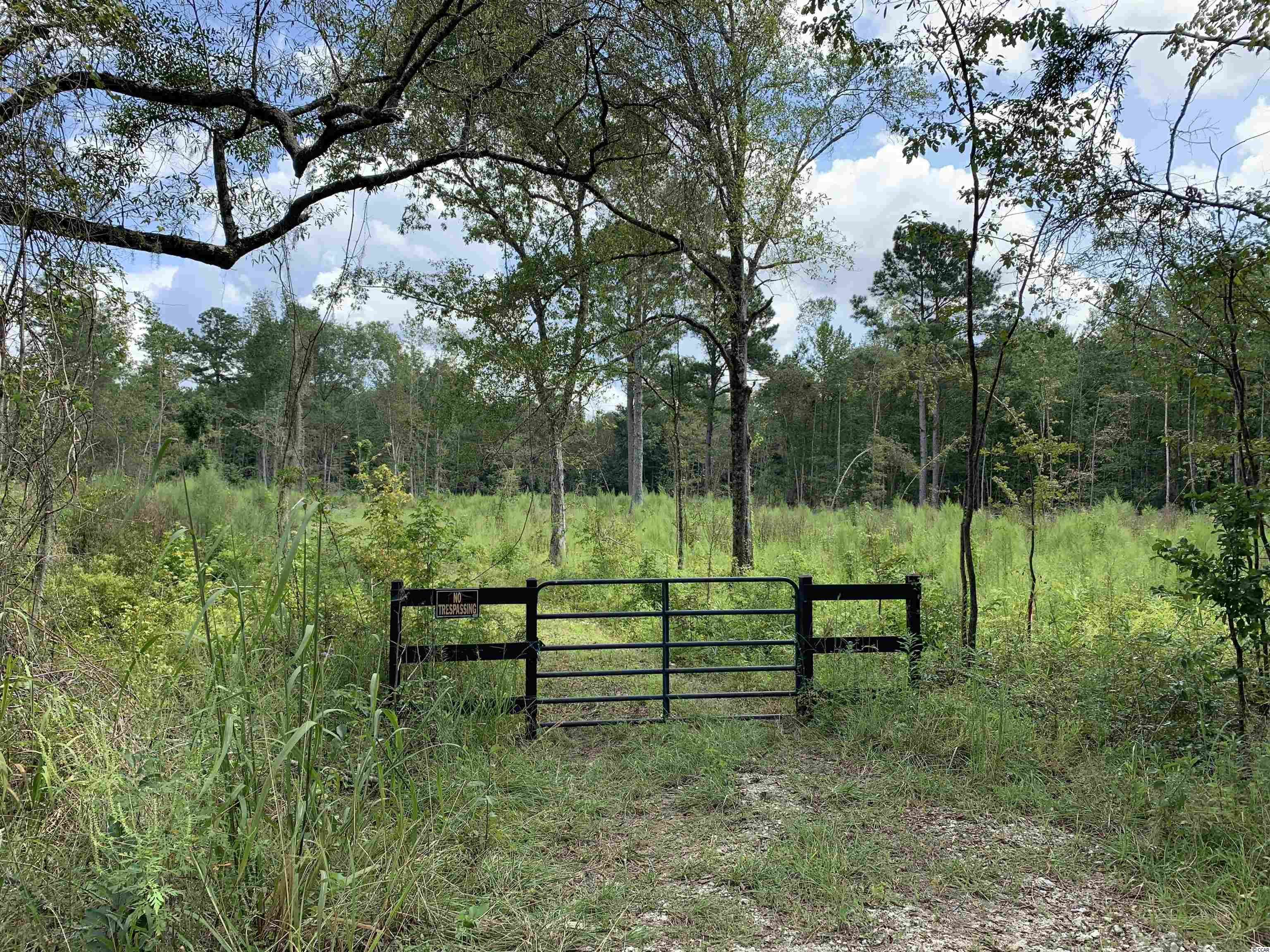Tbt Blakely Road Salters, SC 29590 - Photo 12 of 17
