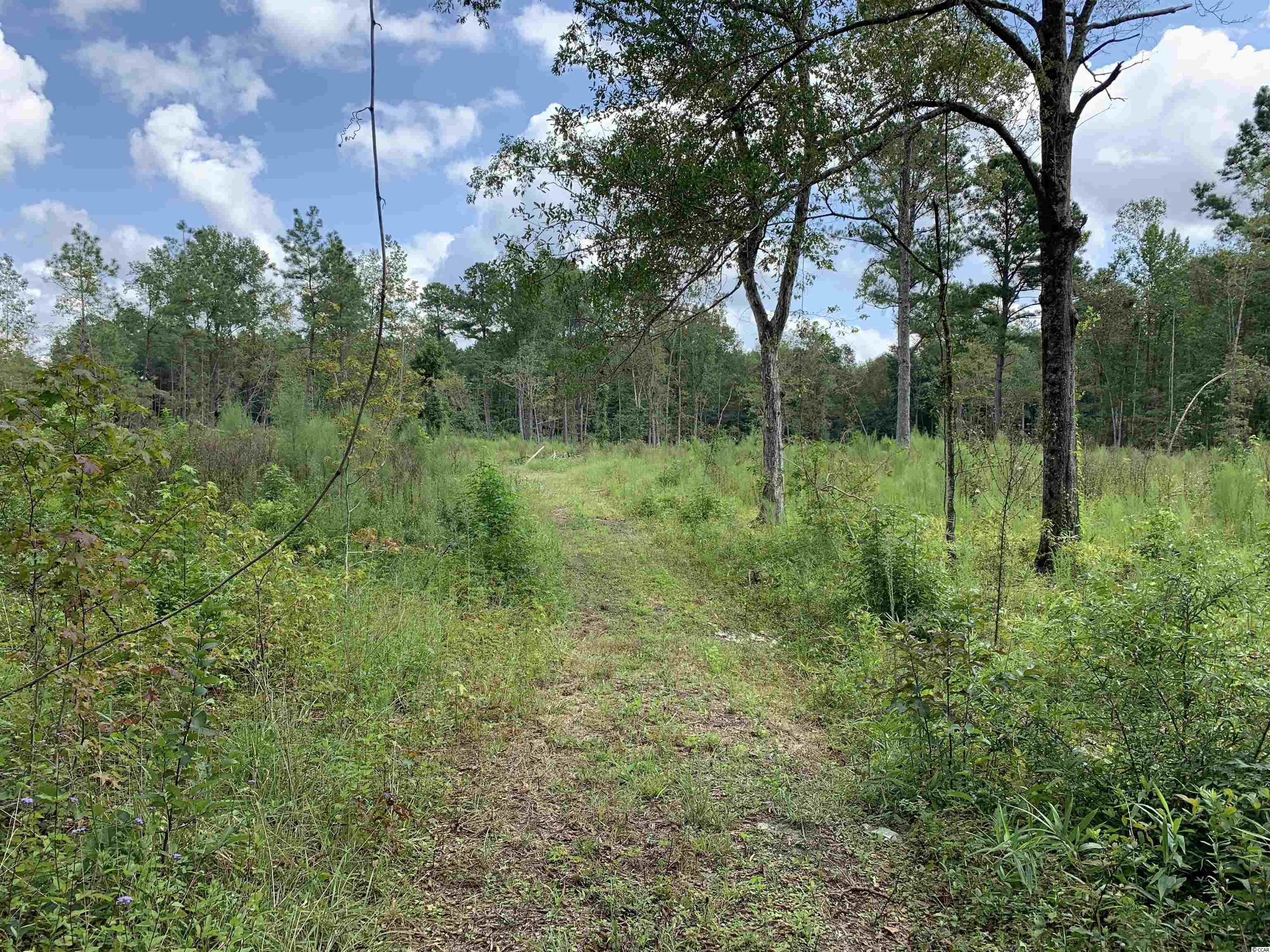 Tbt Blakely Road Salters, SC 29590 - Photo 13 of 17