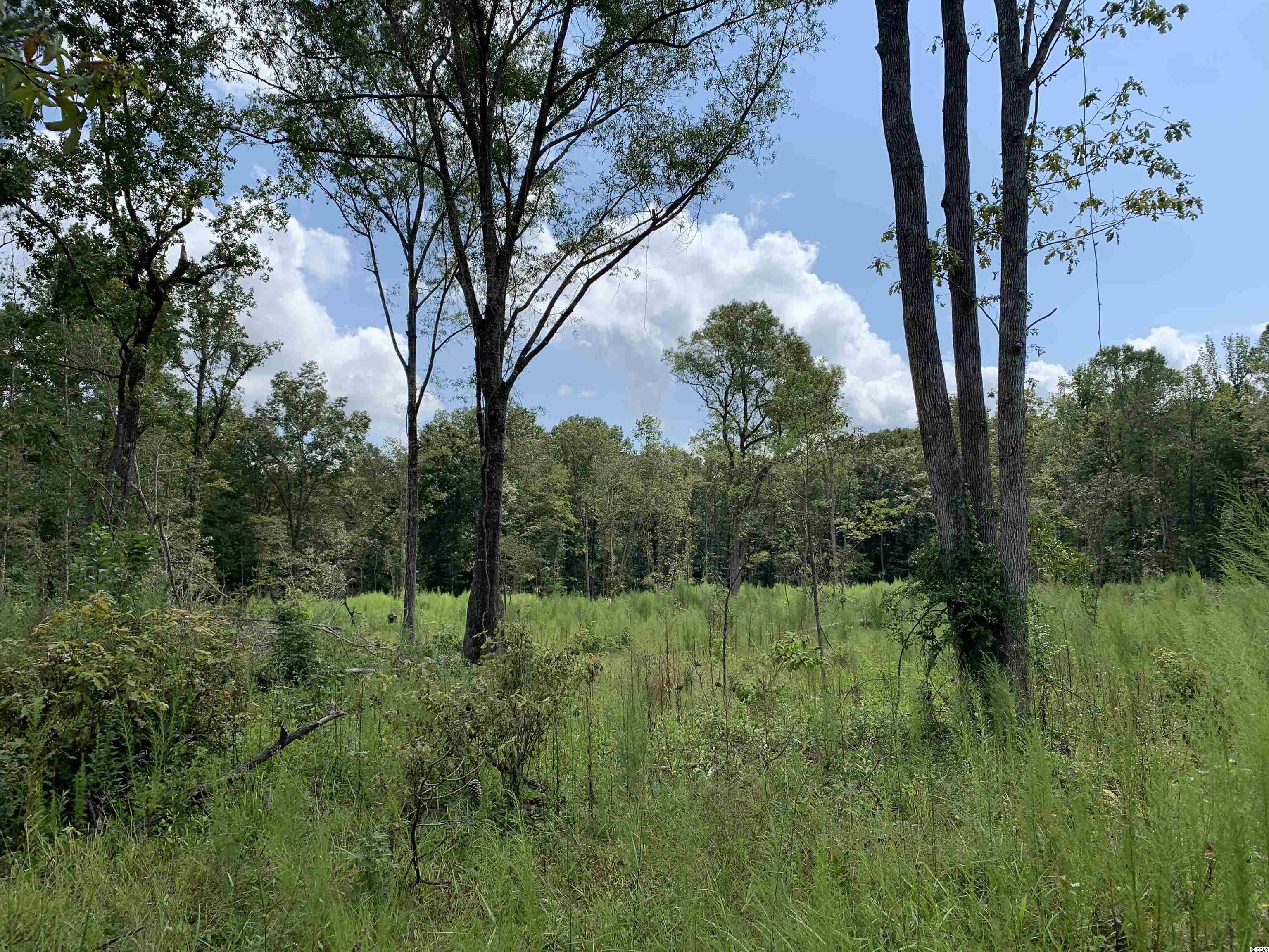 Tbt Blakely Road Salters, SC 29590 - Photo 14 of 17