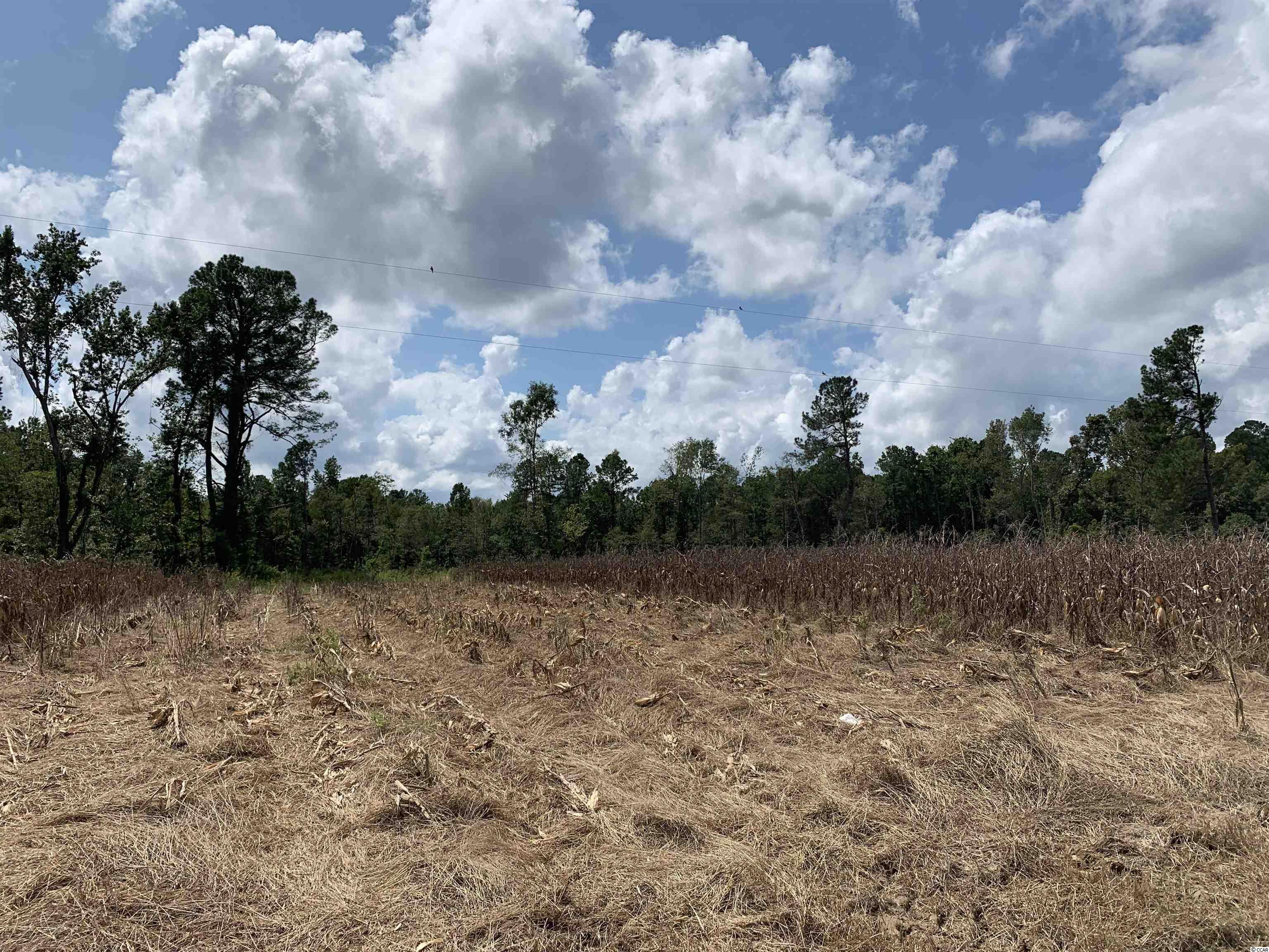 Tbt Blakely Road Salters, SC 29590 - Photo 16 of 17