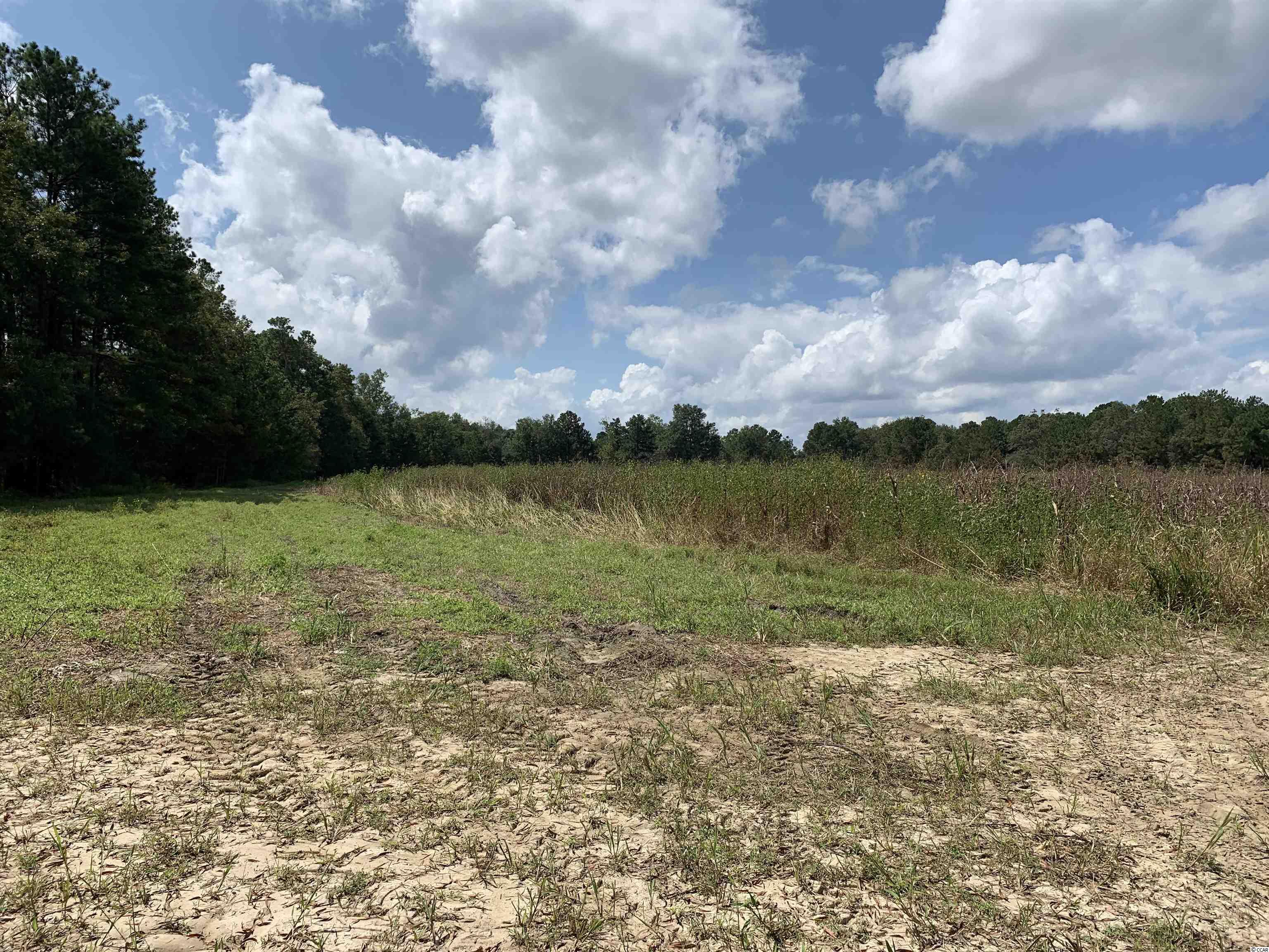 Tbt Blakely Road Salters, SC 29590 - Photo 5 of 17