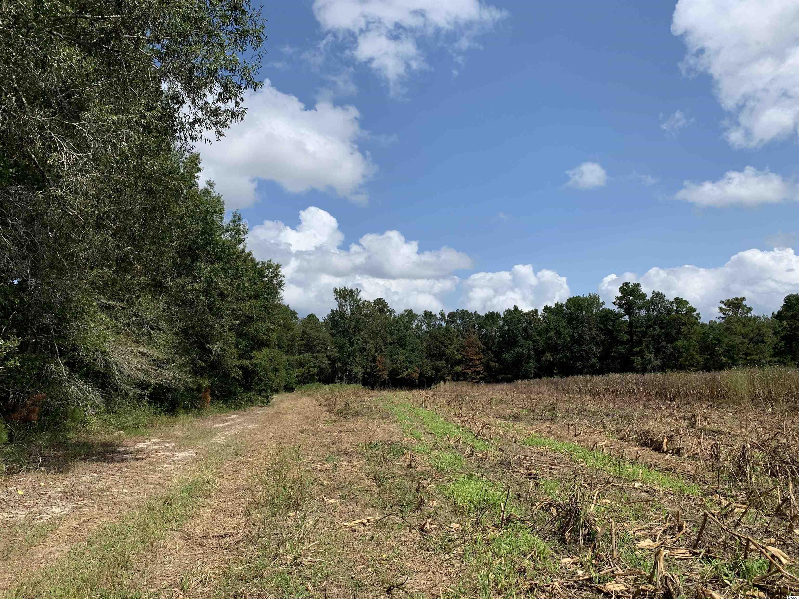 Tbt Blakely Road Salters, SC 29590 - Photo 6 of 17
