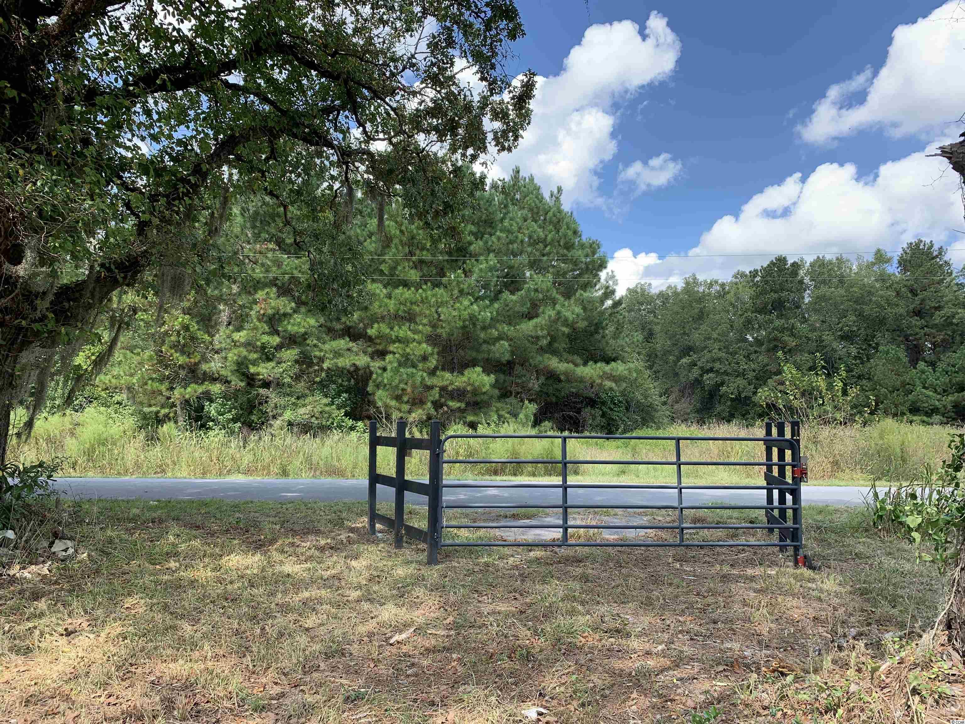 Tbt Blakely Road Salters, SC 29590 - Photo 8 of 17