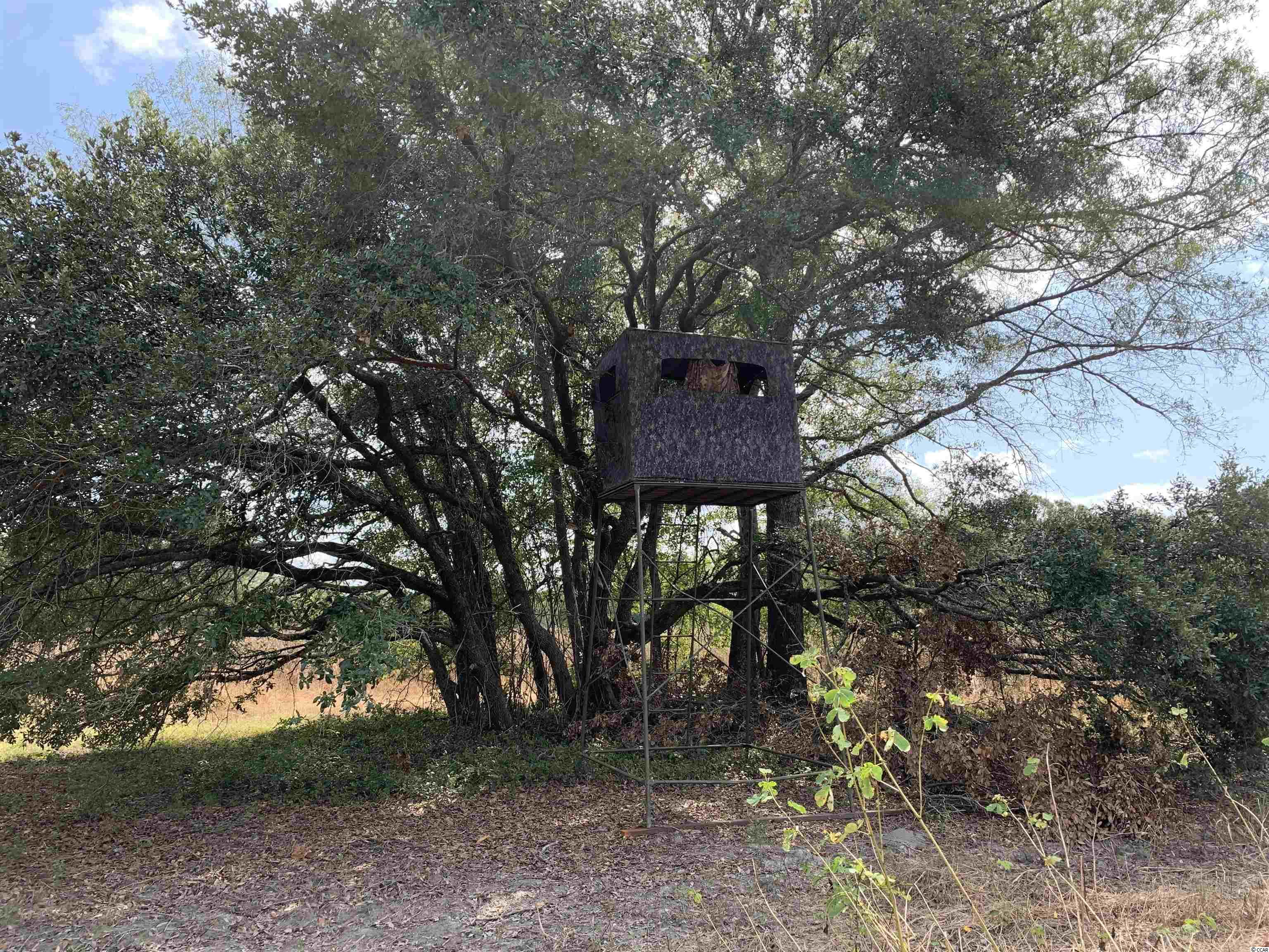 Tbt Blakely Road Salters, SC 29590 - Photo 10 of 17