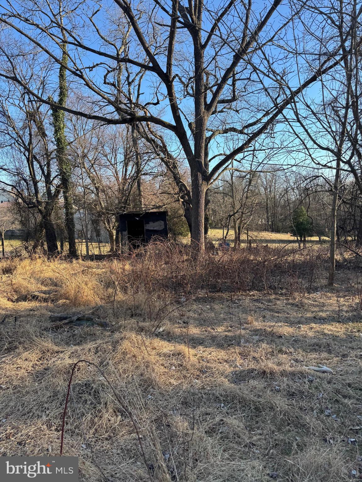 a view of yard covered with snow