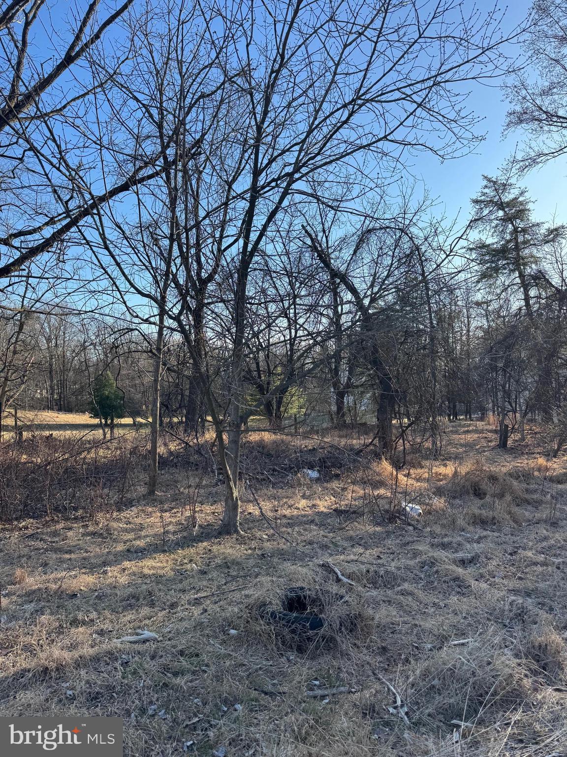 5514 Waterloo Road Columbia, MD 21045 - Photo 2 of 4 a view of a yard with a tree