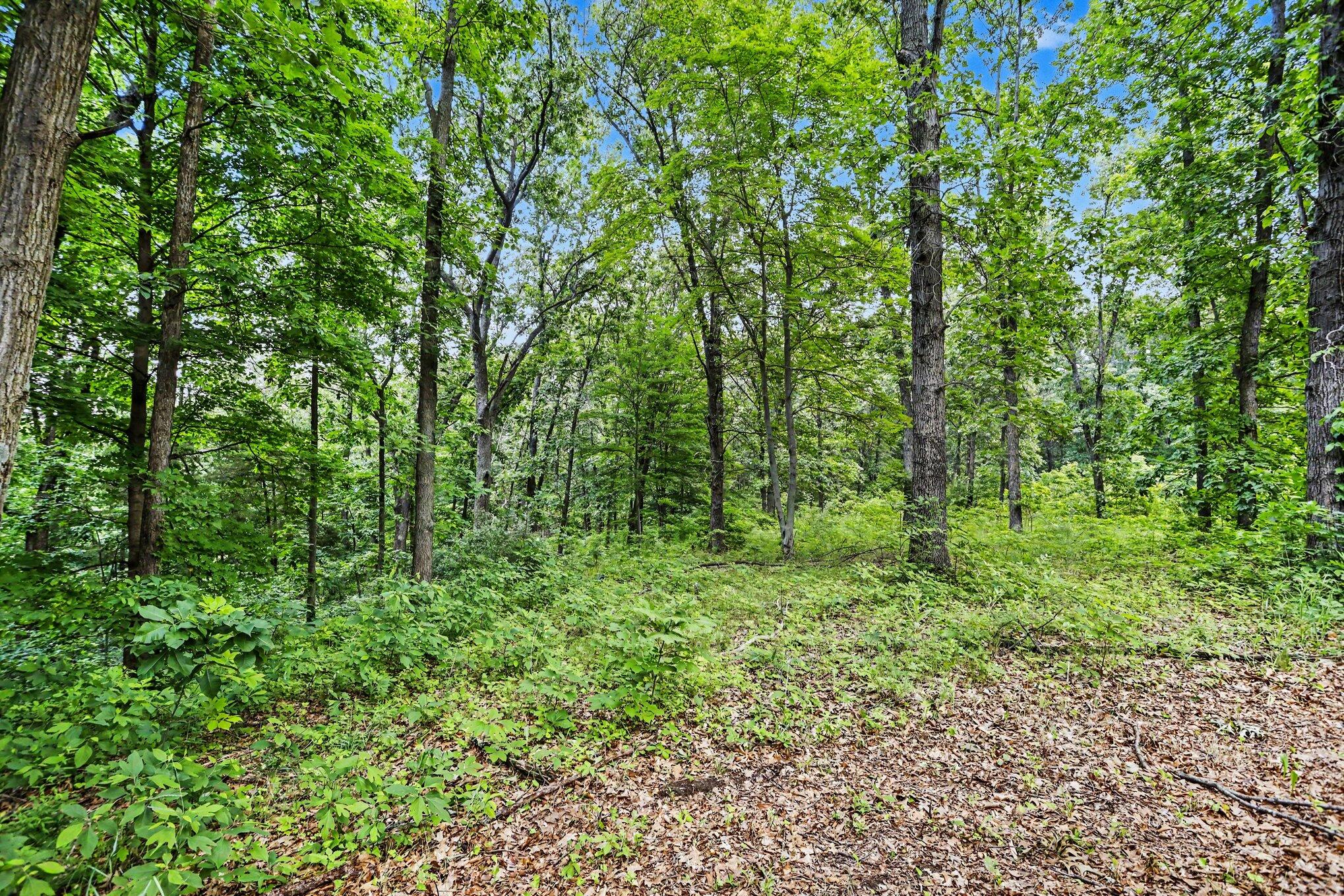 10642 Keller Road Delton, MI 49046 - Photo 31 of 46 034_file_7855