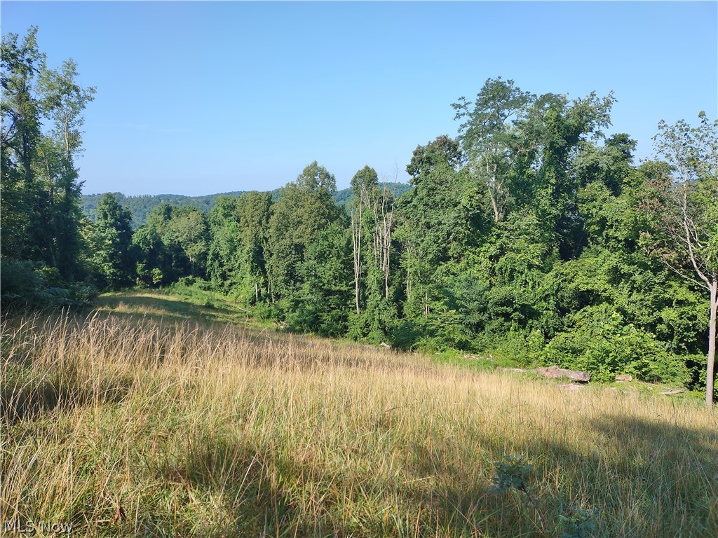 1511 Snowbird Road West Union, WV 26456 - Photo 22 of 26 Gallery Image 22