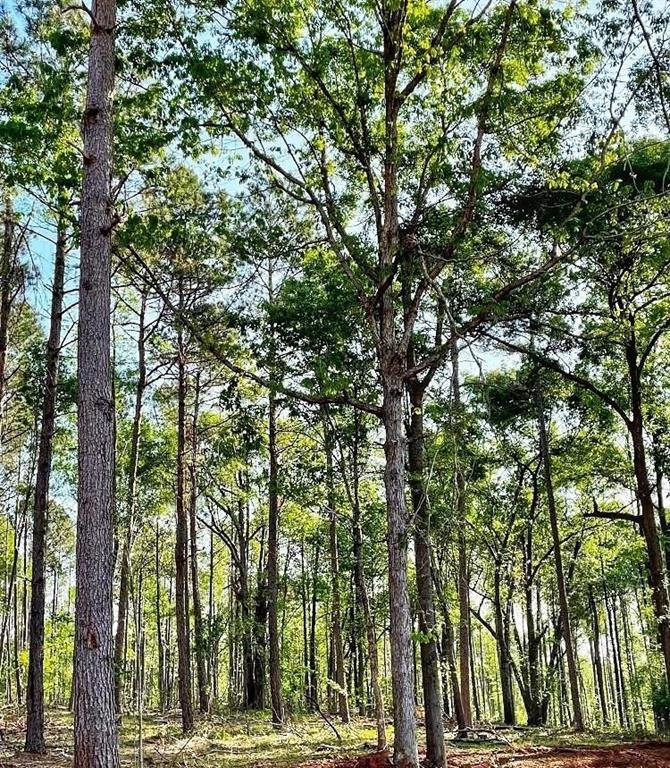 a view of outdoor space with a house