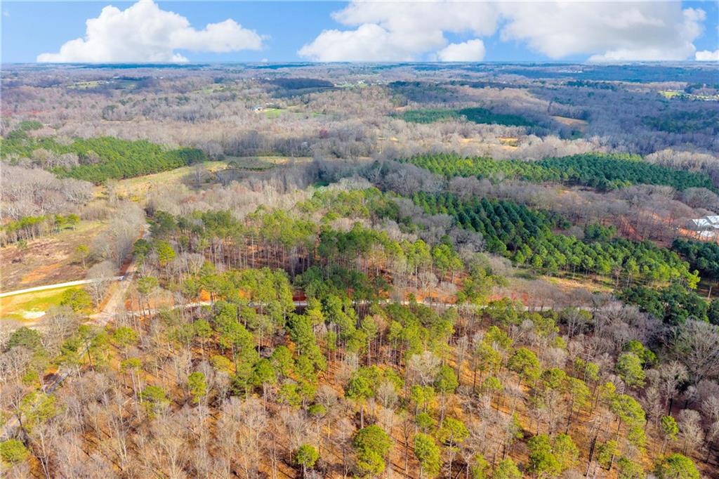 1660 Watkins Farm Road Nicholson, GA 30565 - Photo 11 of 55 a view of a lake view