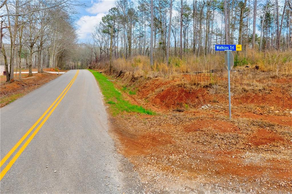 1660 Watkins Farm Road Nicholson, GA 30565 - Photo 13 of 55 a view of a yard with plants