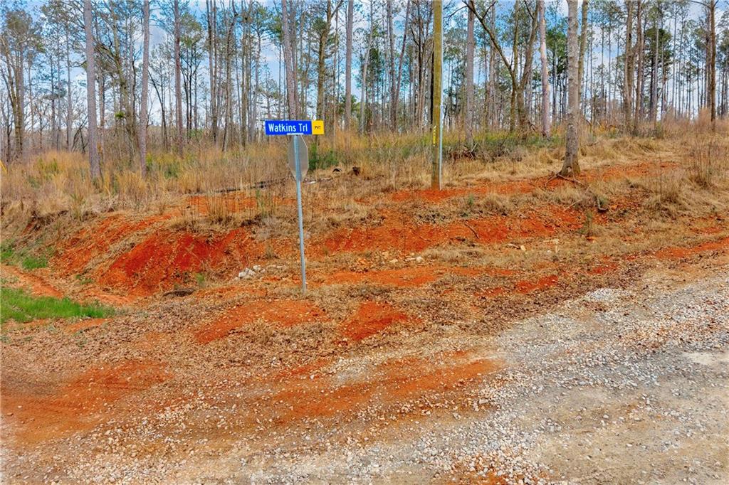 1660 Watkins Farm Road Nicholson, GA 30565 - Photo 14 of 55 a backyard of a house with lots of green space