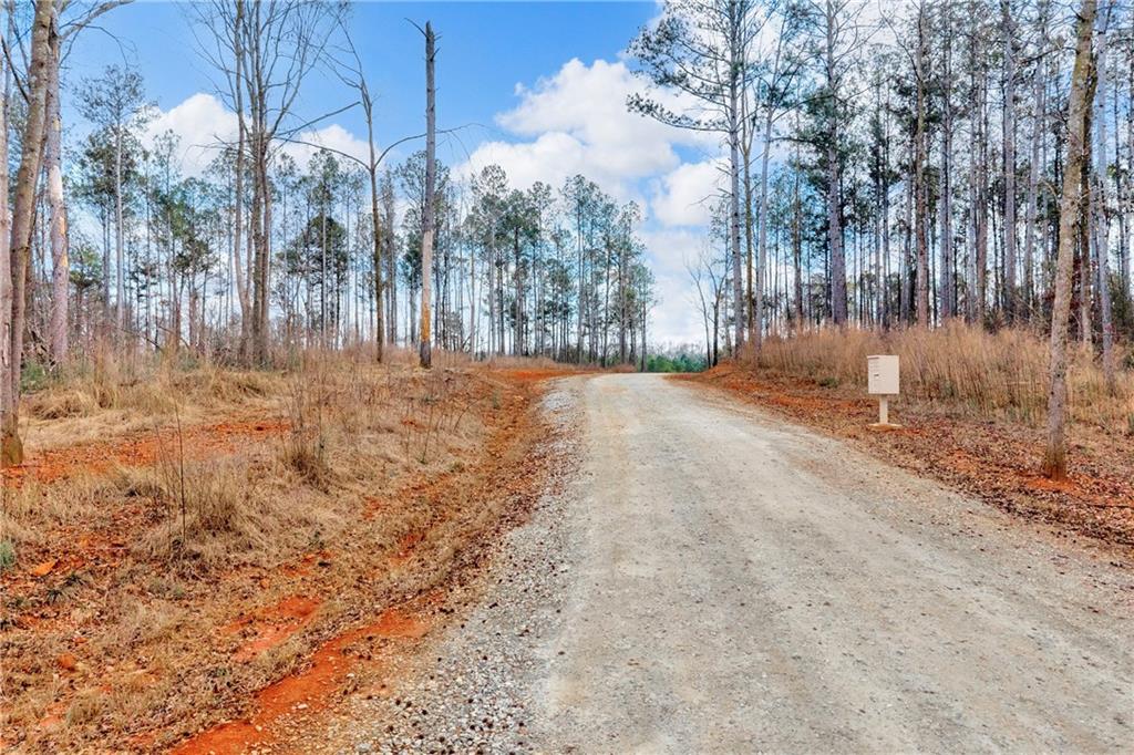 1660 Watkins Farm Road Nicholson, GA 30565 - Photo 15 of 55 a view of dirt yard with a large tree