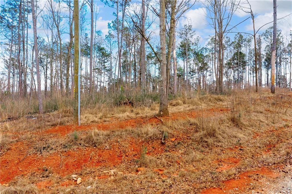 1660 Watkins Farm Road Nicholson, GA 30565 - Photo 16 of 55 a view of backyard with trees