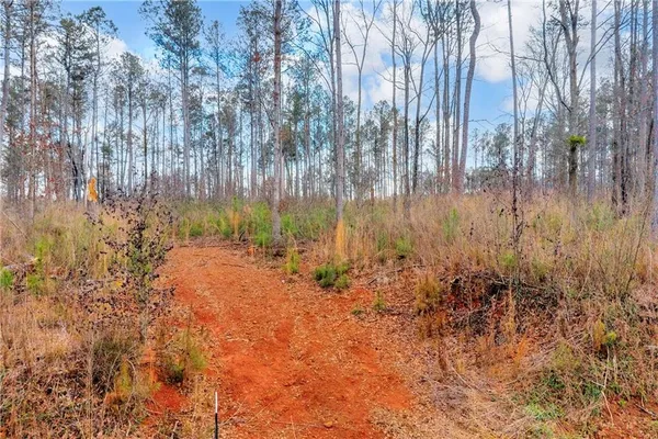a view of backyard of house