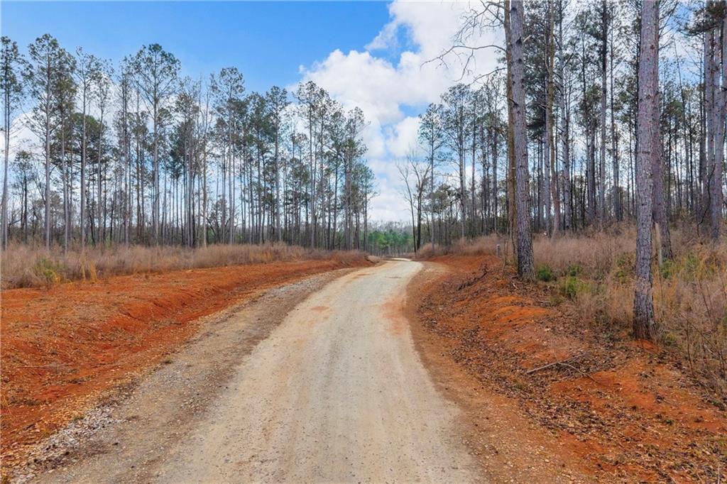 1660 Watkins Farm Road Nicholson, GA 30565 - Photo 20 of 55 a backyard of a house with lots of green space