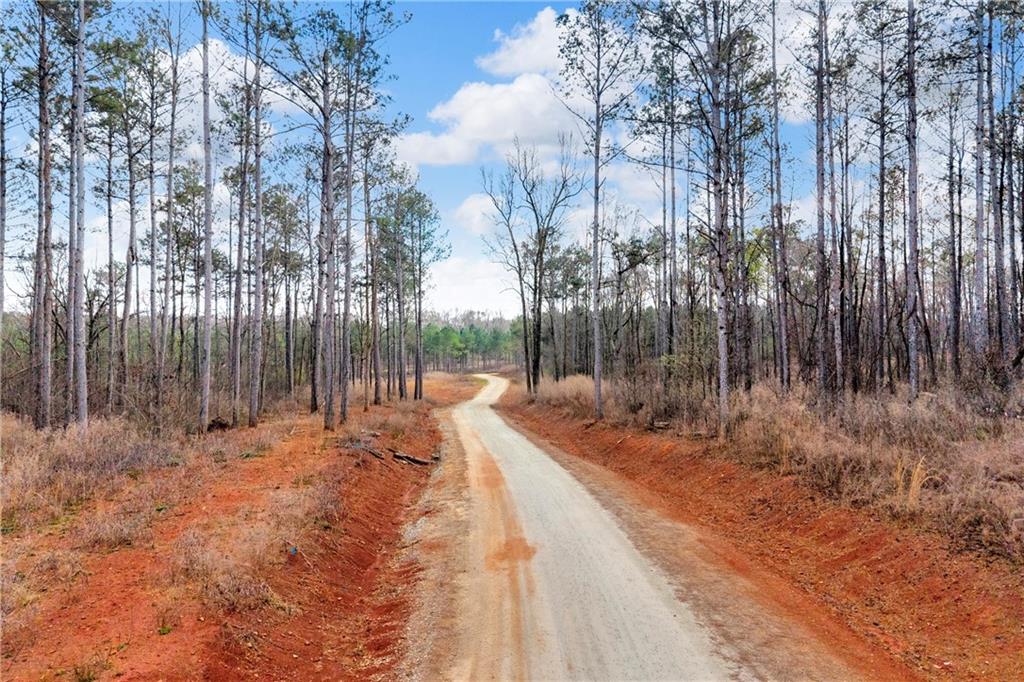 1660 Watkins Farm Road Nicholson, GA 30565 - Photo 21 of 55 a backyard of a house with lots of green space