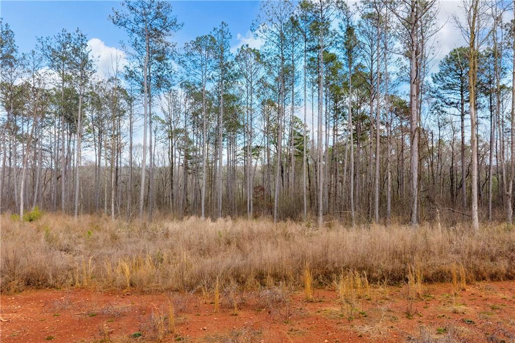 1660 Watkins Farm Road Nicholson, GA 30565 - Photo 22 of 55 a view of backyard with green space