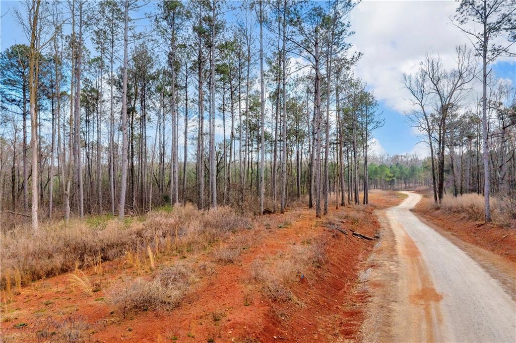 1660 Watkins Farm Road Nicholson, GA 30565 - Photo 23 of 55 a backyard of a house with lots of green space