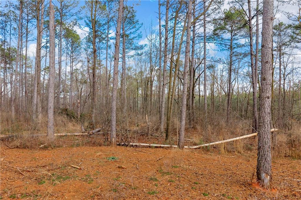 1660 Watkins Farm Road Nicholson, GA 30565 - Photo 24 of 55 a view of wooden fence
