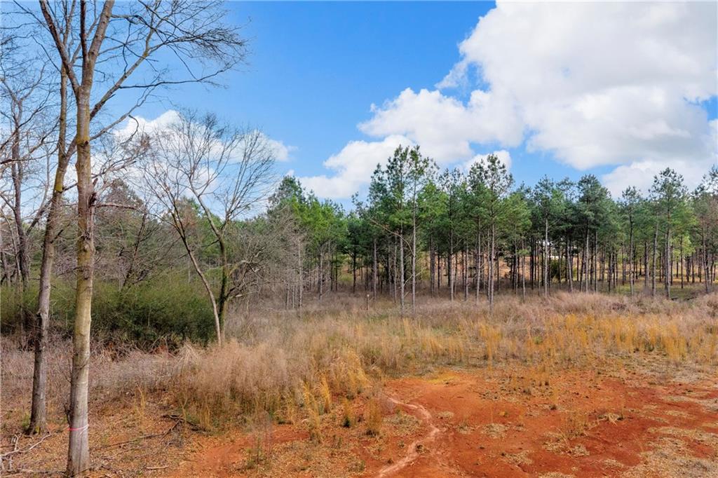 1660 Watkins Farm Road Nicholson, GA 30565 - Photo 26 of 55 a view of a lake view