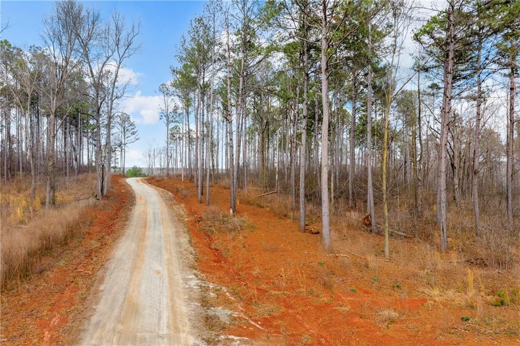 1660 Watkins Farm Road Nicholson, GA 30565 - Photo 28 of 55 a view of a yard with trees